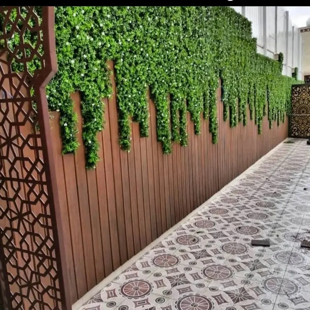 عشب جداري بالمدينة المنورة